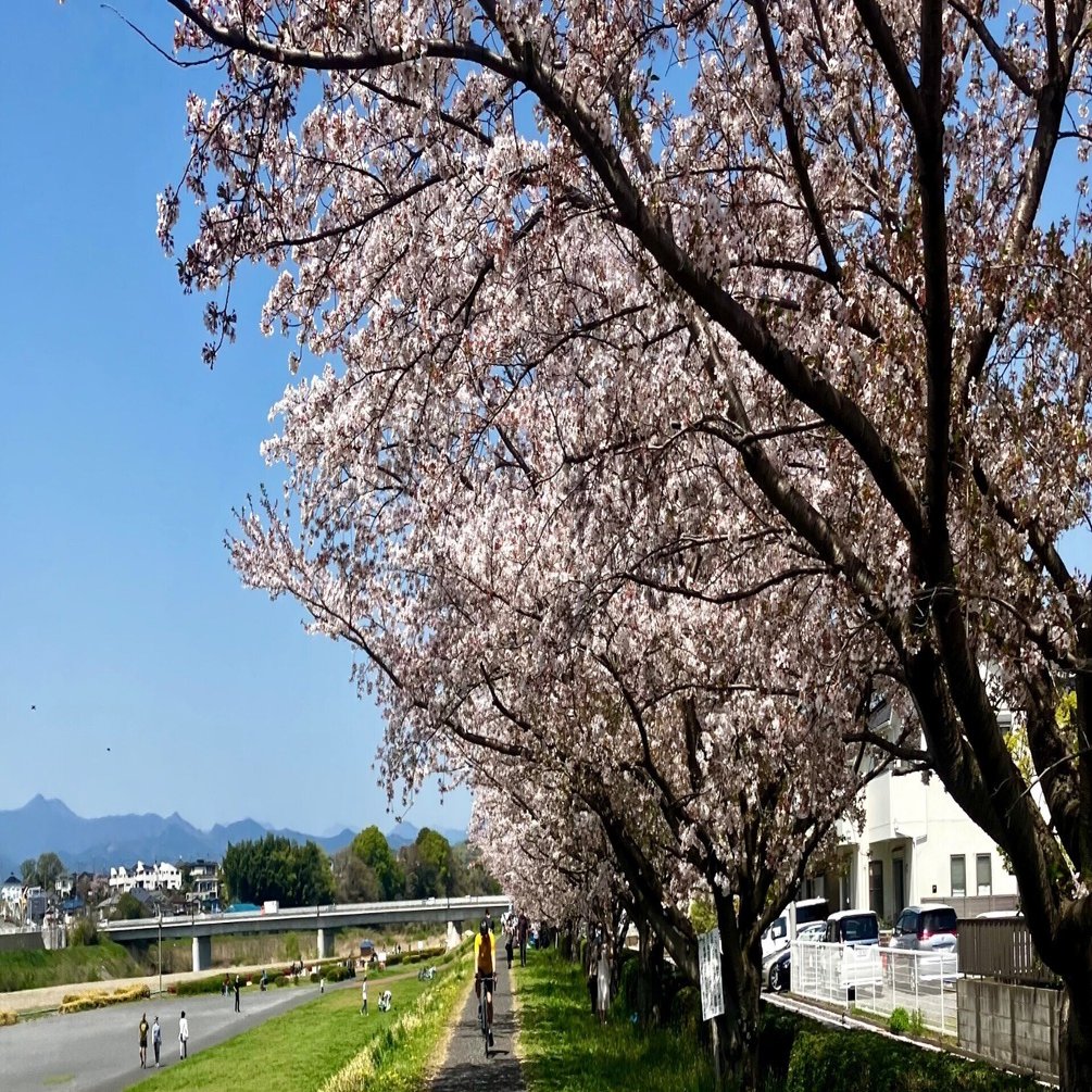 ウルトラマラソン挑戦記録（80km/多摩川ネイチャーマラソン2024