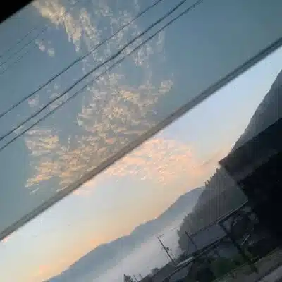ヨシノ