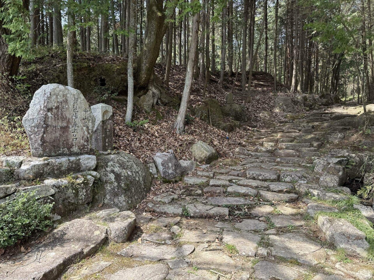 中山道分間延細圖　第十五卷 細久手 御謙 伏見 旧中山道ウォーク㊾ 細久手宿→御嶽宿｜ばーど