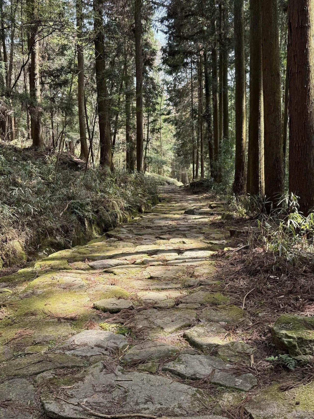 中山道分間延細圖　第十五卷 細久手 御謙 伏見 旧中山道ウォーク㊾ 細久手宿→御嶽宿｜ばーど