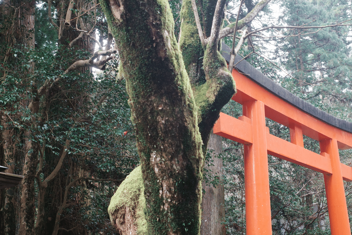 安達茉莉子　zine 写真は詩 2024.4.12〜18｜安達茉莉子 mariko adachi