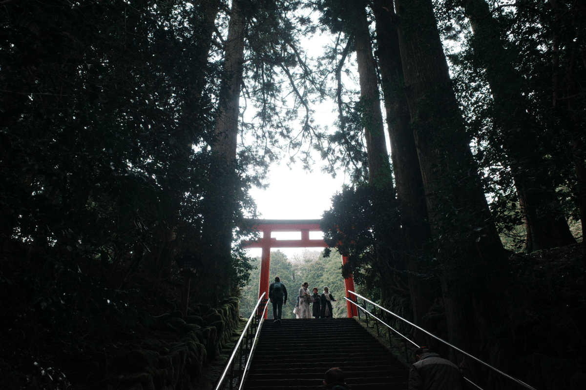 写真は詩 2024.4.12〜18｜安達茉莉子 mariko adachi