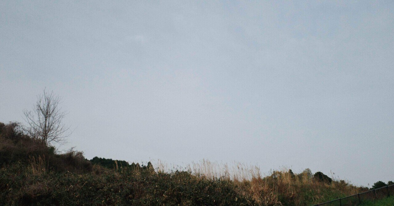 安達茉莉子　zine 写真は詩 2024.4.12〜18｜安達茉莉子 mariko adachi
