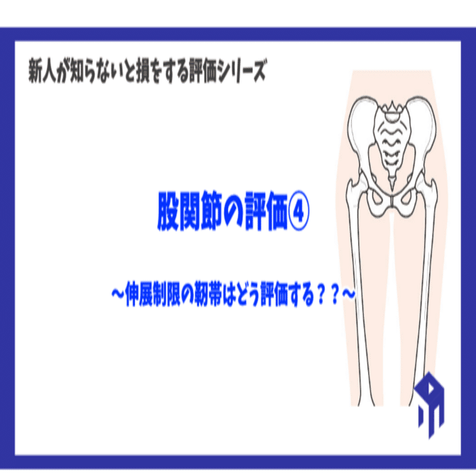 股関節の評価④｜加藤淳