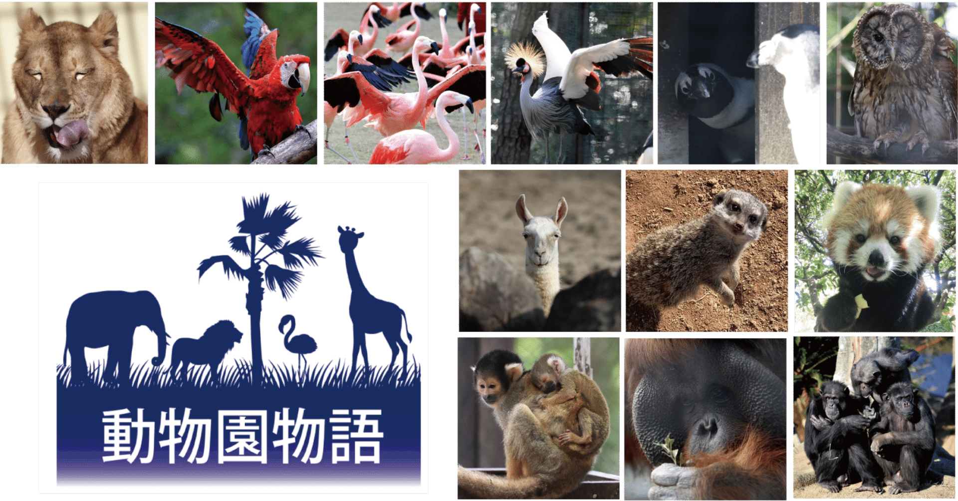 連載企画】動物園物語｜宮崎日日新聞