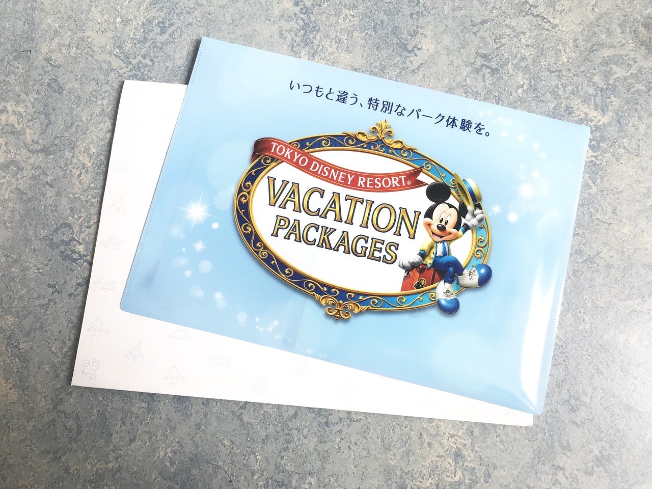 ディズニー シー ソアリン ファンタスティック フライト に2回ほぼ並ばずに乗る方法 ただし課金が必要 まつゆう 松丸祐子 メタバースdj Note ディズニー シー ソアリン ファンタスティック フライト に2回ほぼ並ばずに乗る方法 ただし課金が必要 まつゆう 松丸祐子 メタバースdj Note