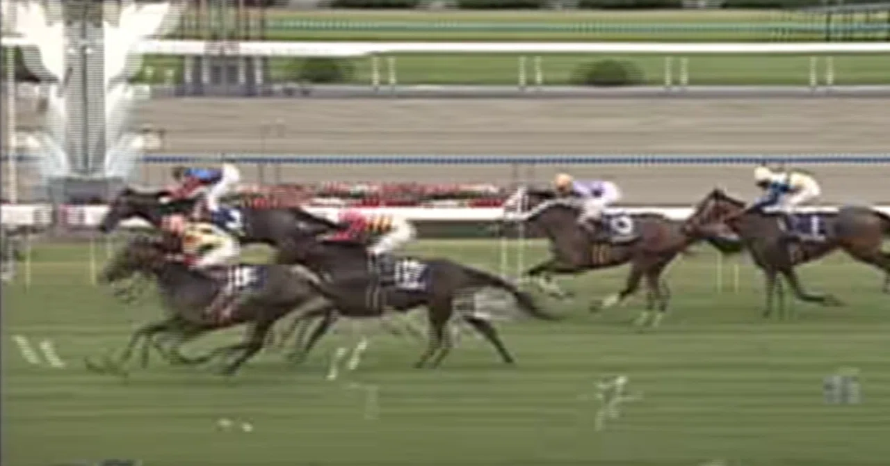 ライスシャワー 【現地購入】ライスシャワー 単勝馬券 1995年天皇賞春 