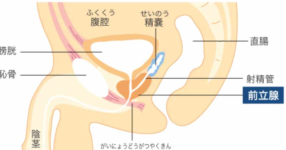性欲が失われた瞬間出会ったものは ヒロナカケン Note