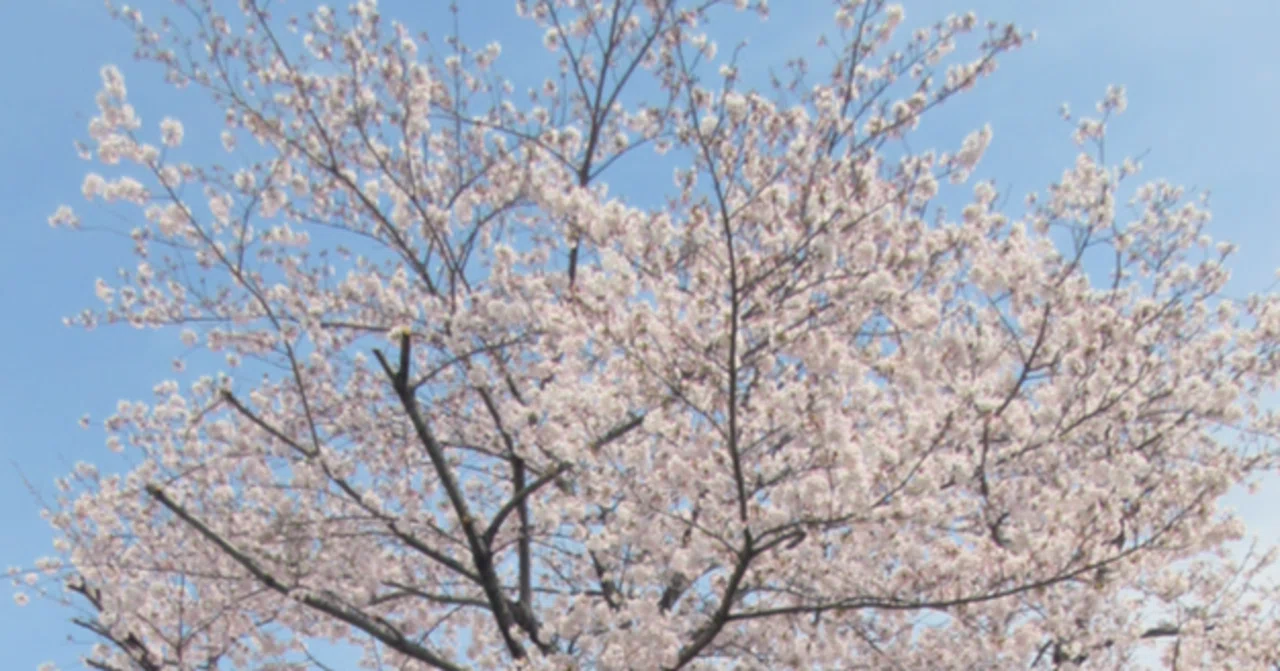 サライの空 意味(02)