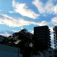 Njrpg非公式追加データ ブラド ニンジャクラン Ver1 3 Freikugel Note