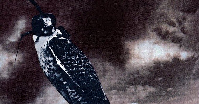 bc1ecb8e38dc2aff5db5c3596669eb