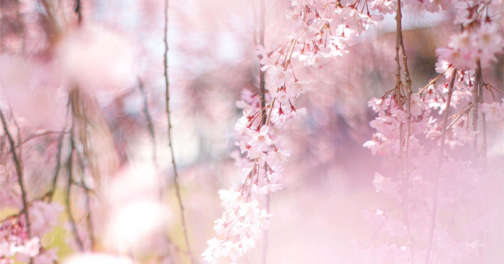 ac961aa95ddfaebd23fb62ae551ea4