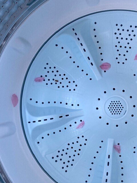桜花びら洗濯機