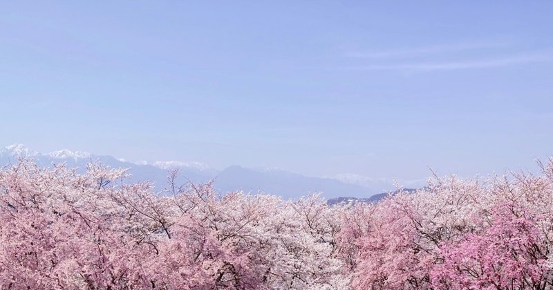 新年度、始まります～中学校ABDレポート2024 準備編