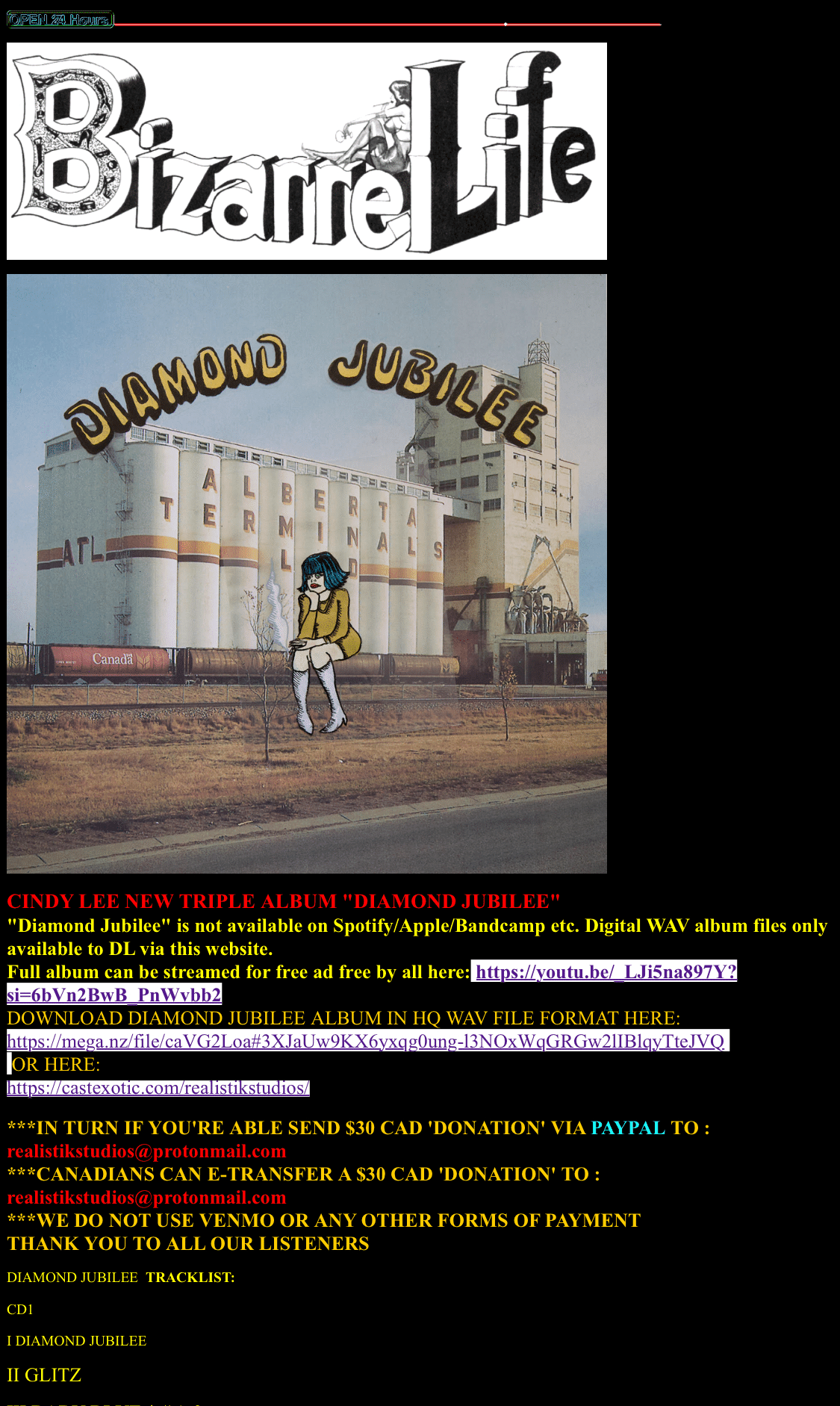 書くこと、書かないこと｜あわのかや