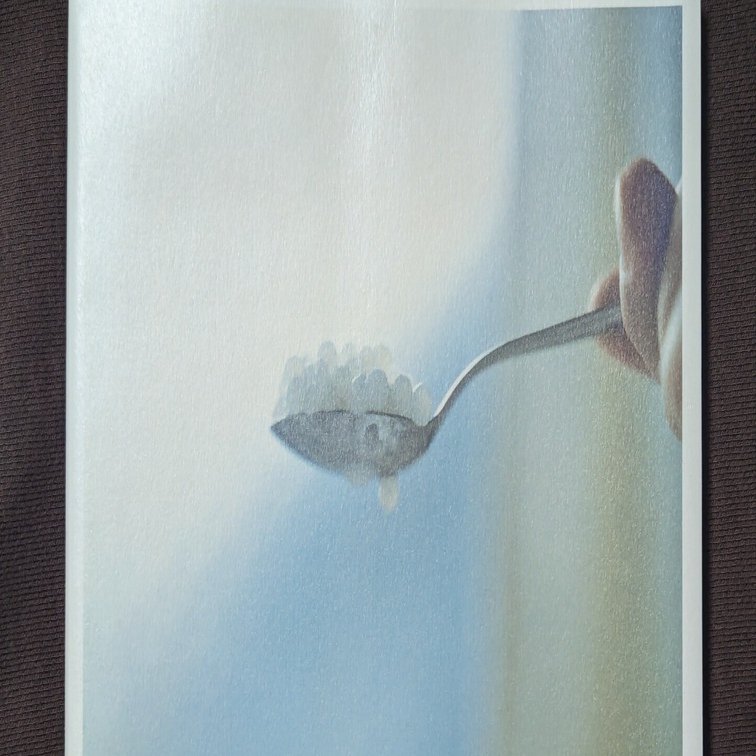 写真集を読み始めた私が選ぶ、大好きな6冊｜iroha