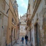 mylittlelecce