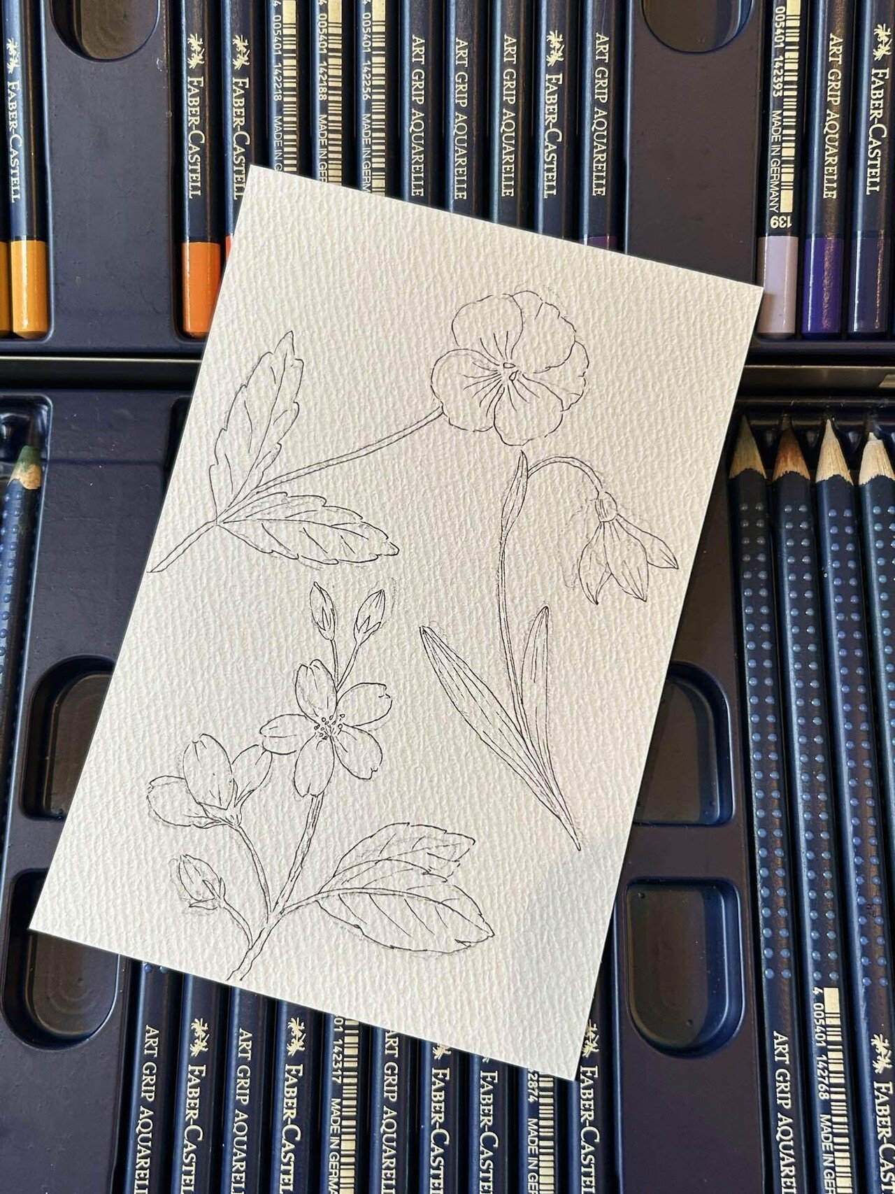 花@水彩色鉛筆｜Snow❄️Yukihikari