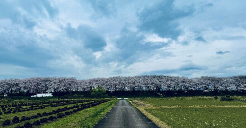 お気に入りの場所ありますか？