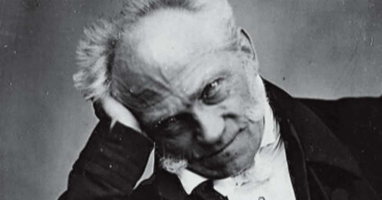 【希少品】ショーペンハウアー哲学の再構築 ショーペンハウアー哲学の再構築: 充足根拠律の四方向に分岐した