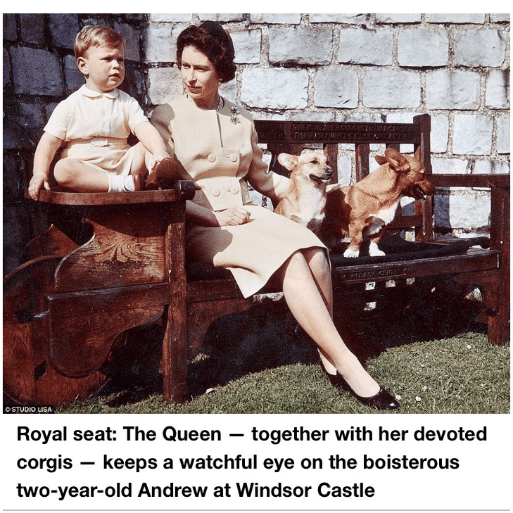 英国の老舗テディベアメーカー🧸 CHAD VALLEY(チャドバレー)｜ぼくはくま