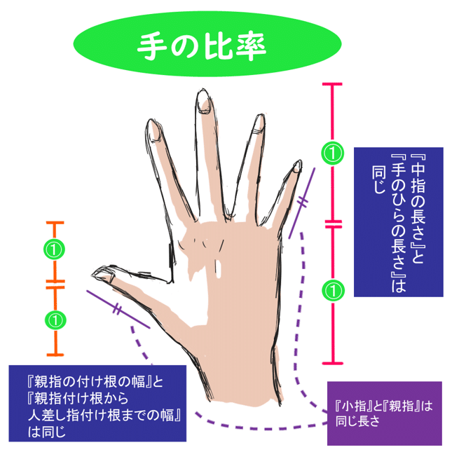 完了しました グー 手 イラスト 横