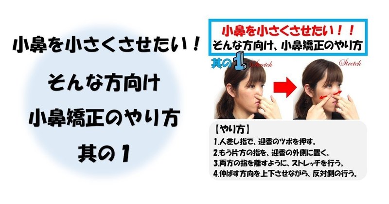 小鼻を小さくさせたい そんな方向け 小鼻矯正のやり方 Part1 Revisionginza Note