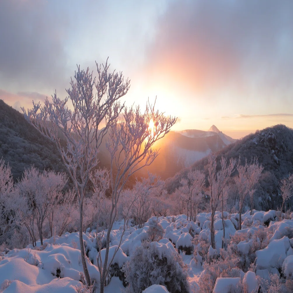 大浪池からの雪景色（2018年2月7日記）｜風景写真 四季の山旅