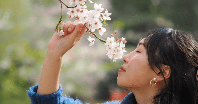 【撮影報告】桜のポートレート（2024.4.11)