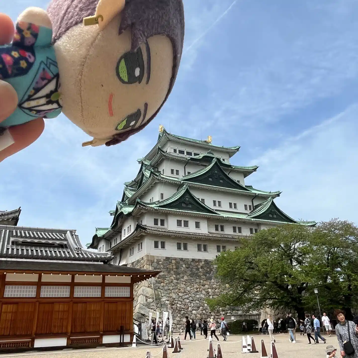 わっほい