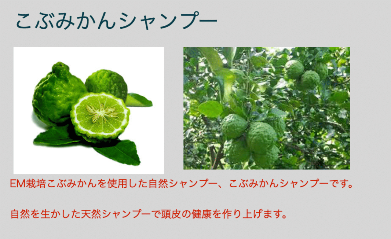 こぶみかんシャンプー Uwan モリンガ栽培と物作り Note