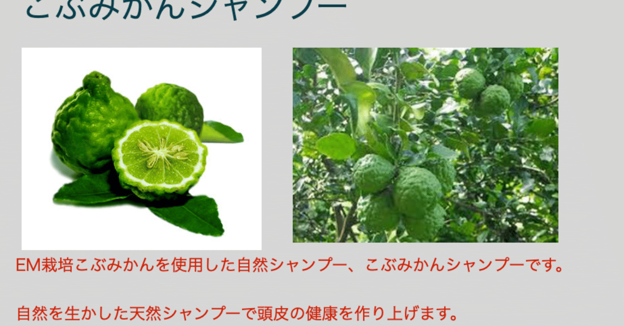 こぶみかんシャンプー Uwan モリンガ栽培と物作り Note こぶみかんシャンプー Uwan モリンガ栽培と物作り Note