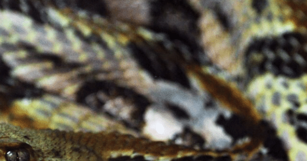 1c29d6f3cf7869c0238223bcb353e1