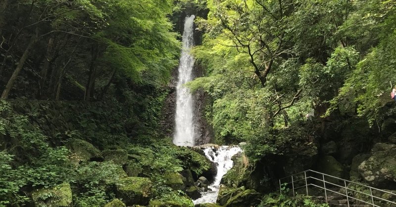 養老の滝