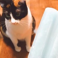 弱虫ペダル4期24話 小野田坂道が見たもの あきち Note