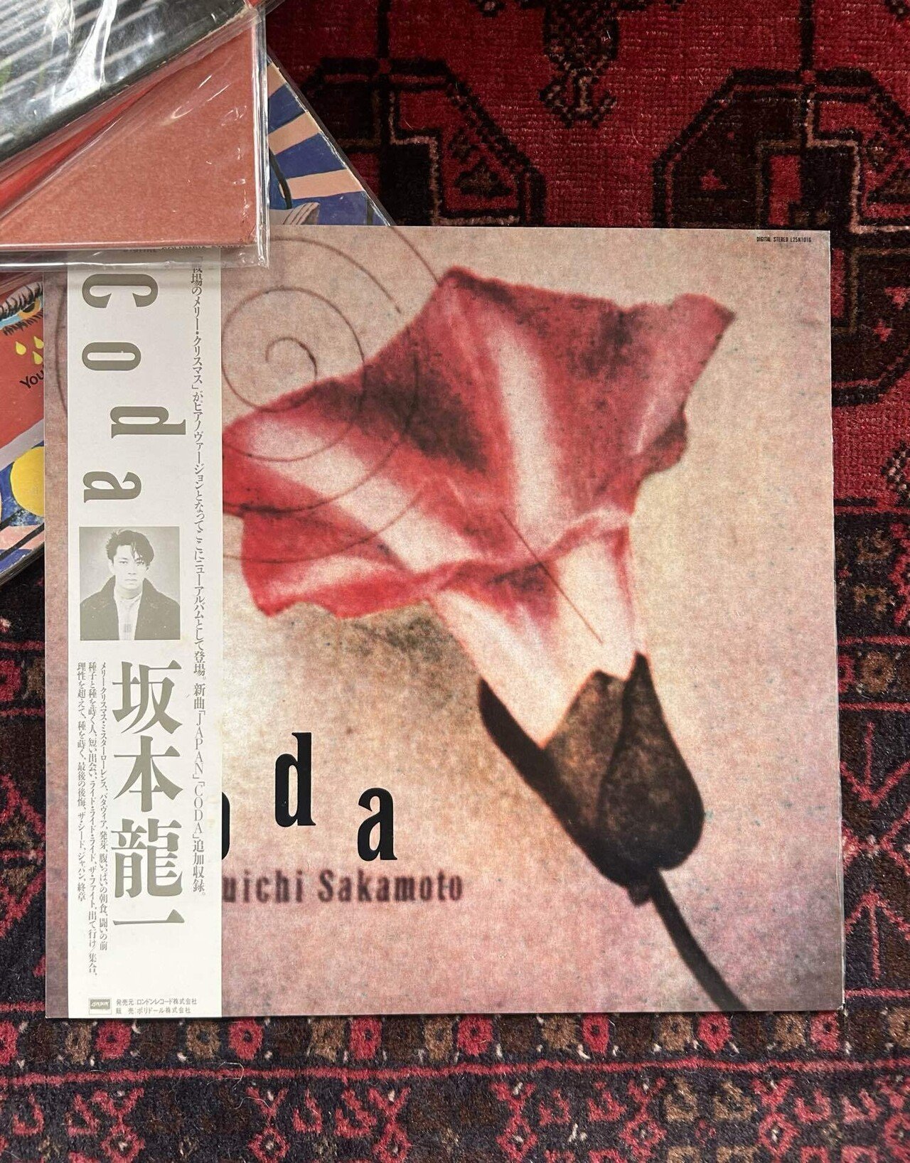 わたしの花ジャケレコード｜Borke.chihiro