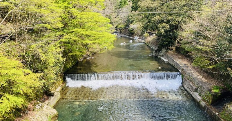 愛宕山でトンビに狙われる（4/11～20の日記）