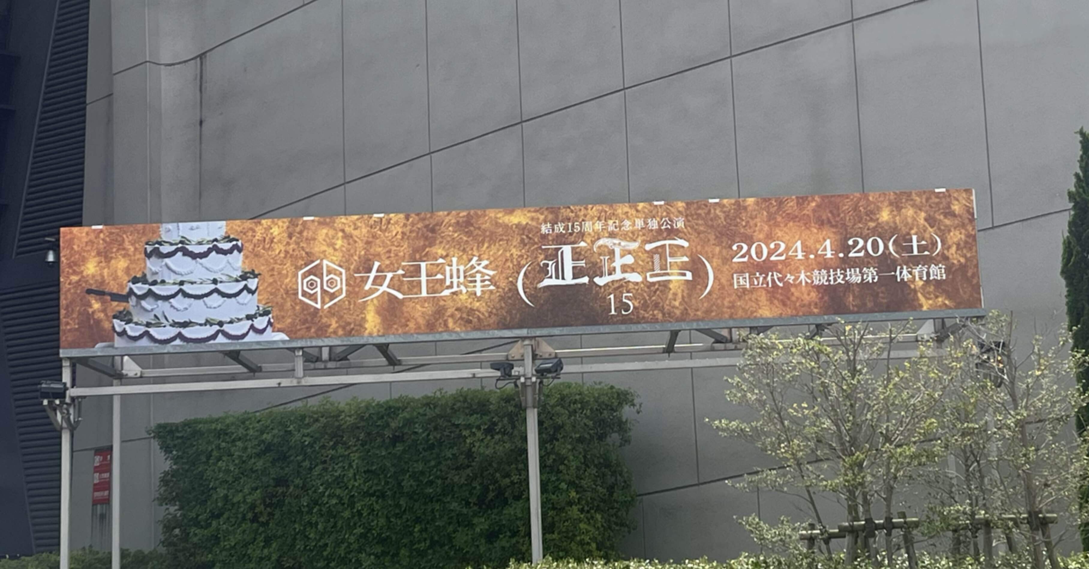 女王蜂 ジュリ扇 犬姫 整える 女王蜂 ジュリ扇 犬姫 整える