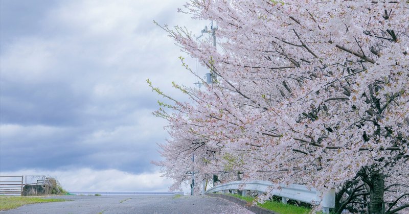 街の桜