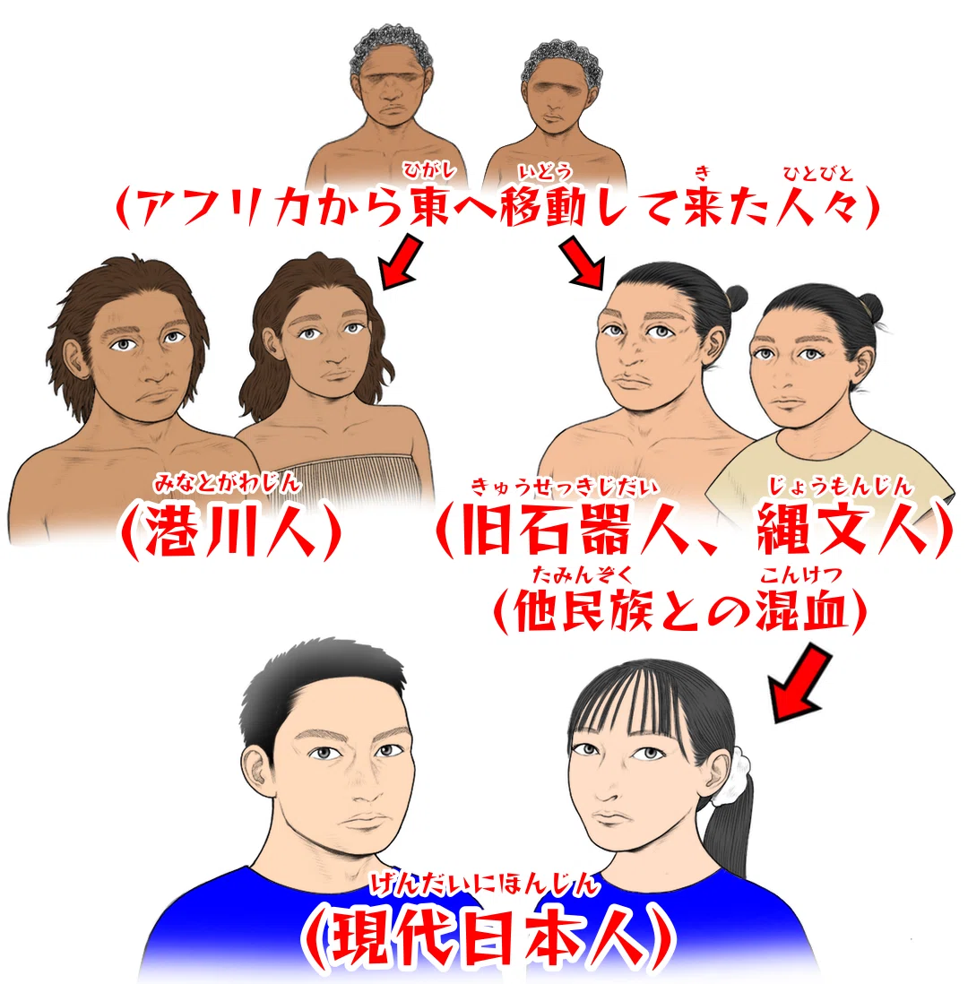 沖縄本・科学】港川人の時代とその後 沖縄本・科学】港川人の時代とその後