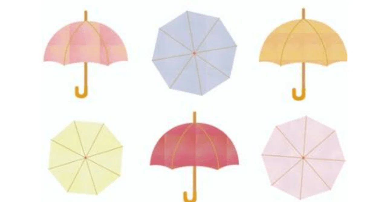 サンバリアと芦屋ロサブラン日傘はどっちがいい？実際に使って比較して