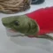 ズンホ