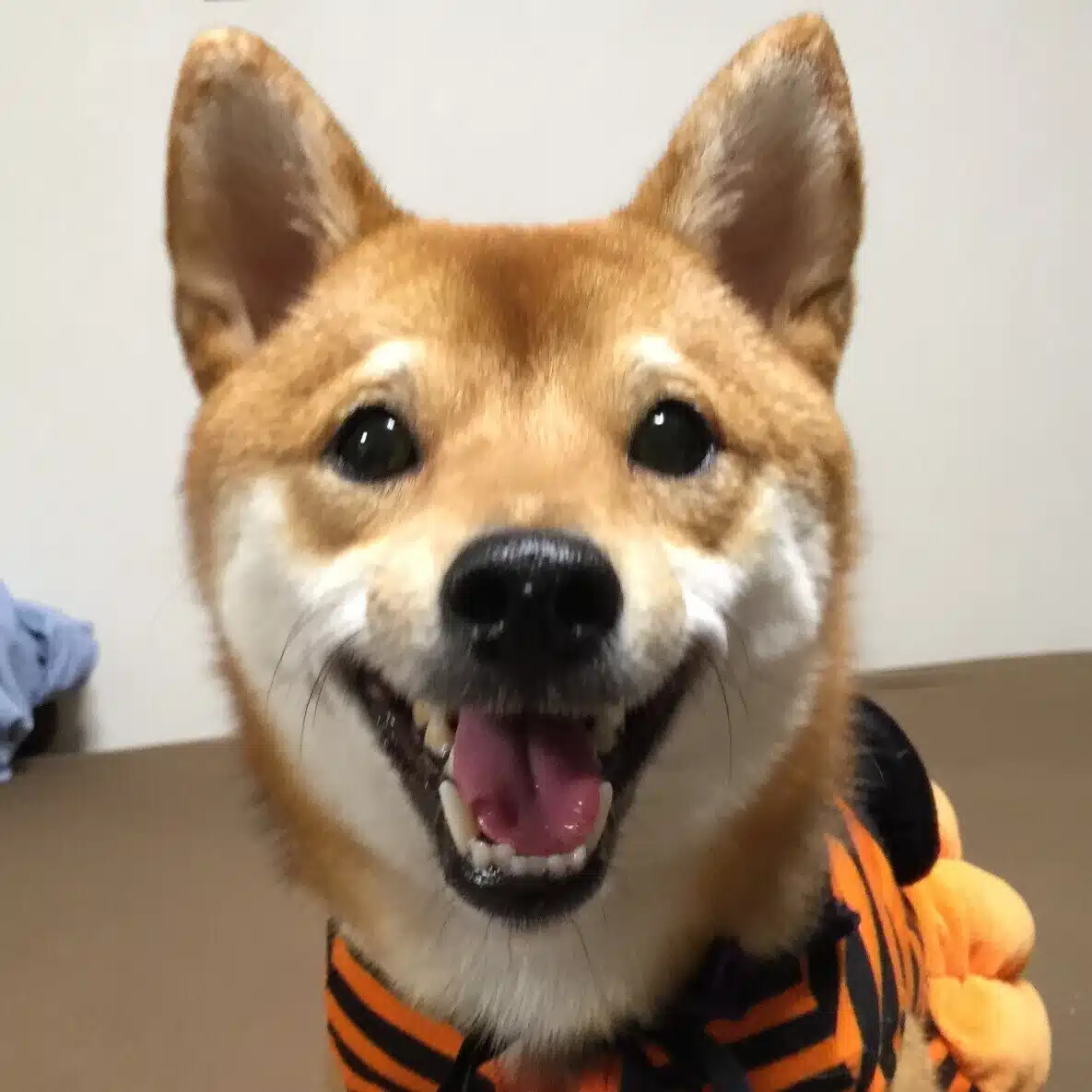 そんた