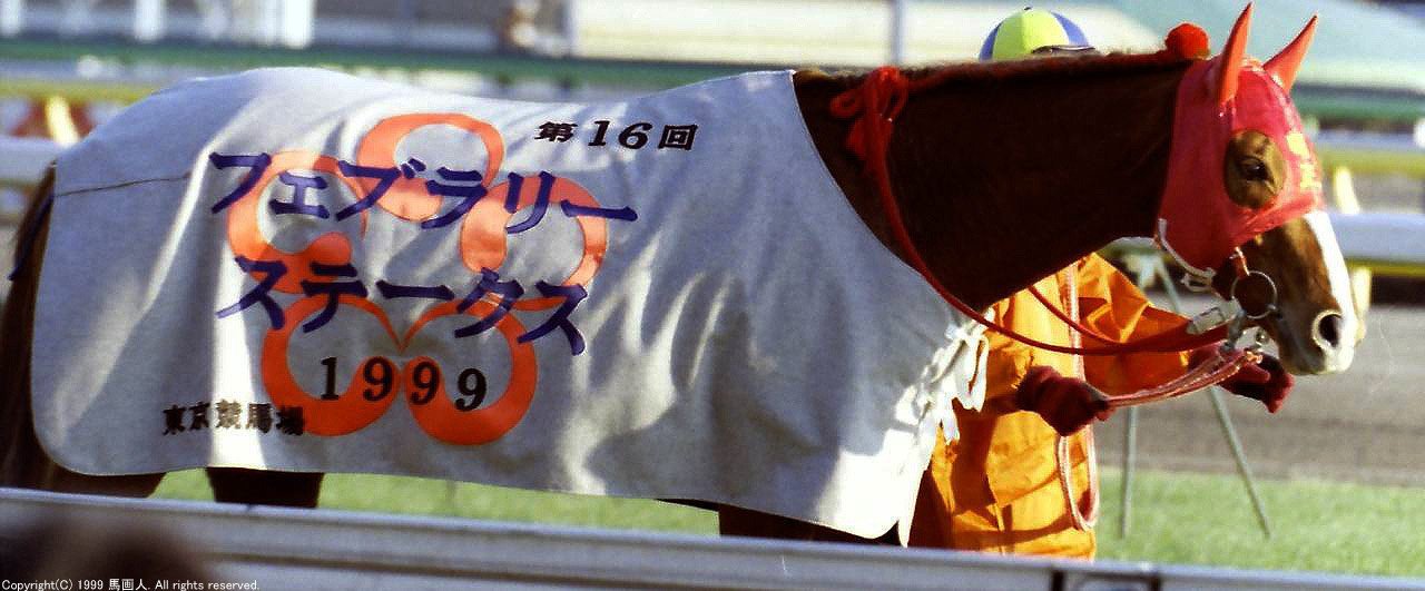 第16回フェブラリーS：蔵出し写真 1999年 ⑨メイセイオペラ｜馬