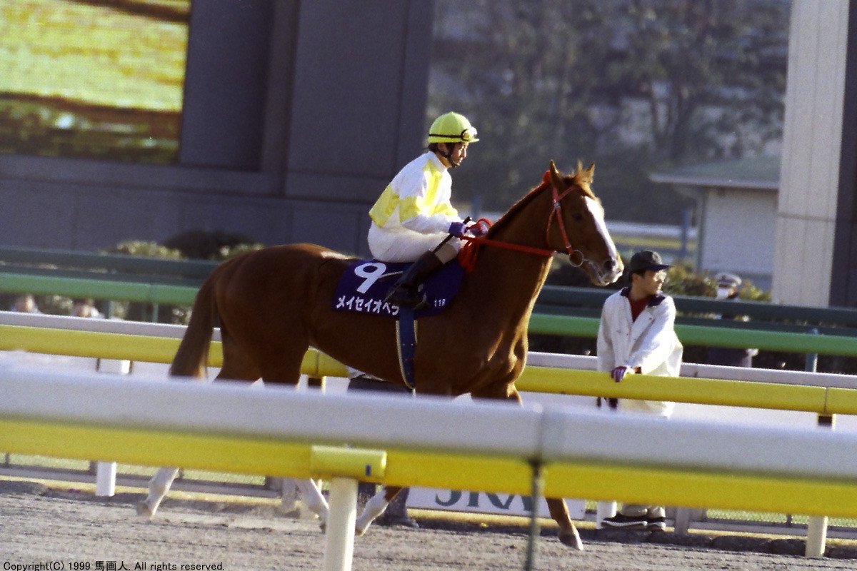 第16回フェブラリーS：蔵出し写真 1999年 ⑨メイセイオペラ｜馬