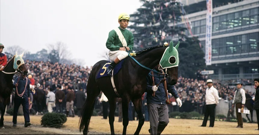 ペルシャ絨毯 馬 競馬好き、午年の方におすすめ！ 読み替える