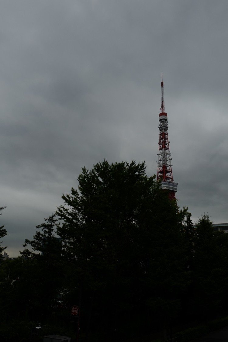 #写真 #東京タワー #歩道橋 #曇り空 #1000日チャレンジ #leicaq #Leicaのある日常