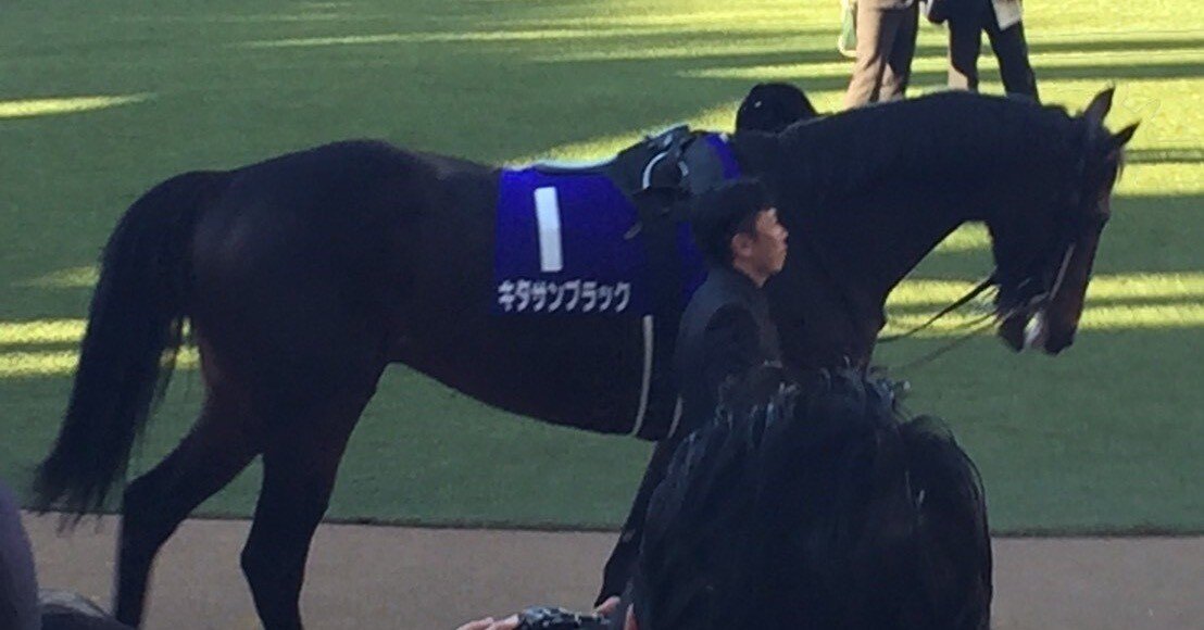 JRA］G1天皇賞春2024サイン考察※CMサインについて
