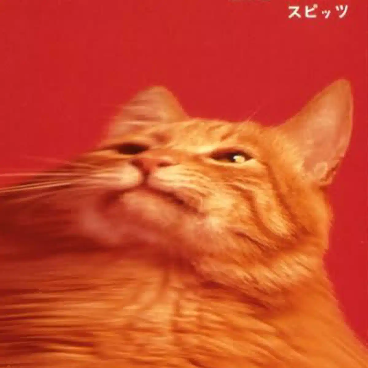 ばやし