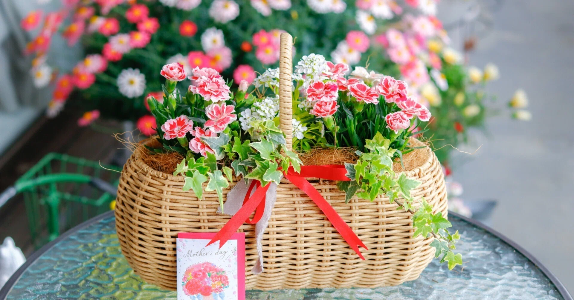 母の日のプレゼントにも♪ 寄せ植え　花■カーネーションの花束のような寄せ植え 母の日ギフト】 ❤︎ 寄せ植え カーネーション♡ホワイトラベンダー